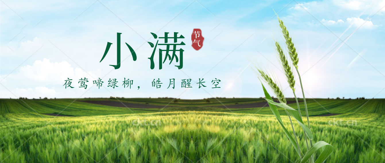 小滿已至，小得盈滿